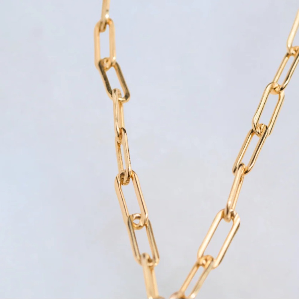 Gold Paperclip Chain with Sennod Vignette Holder - Picture 4 of 9